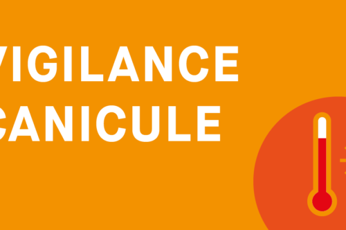 Plan Canicule 2026 : le CCAS vous accompagne